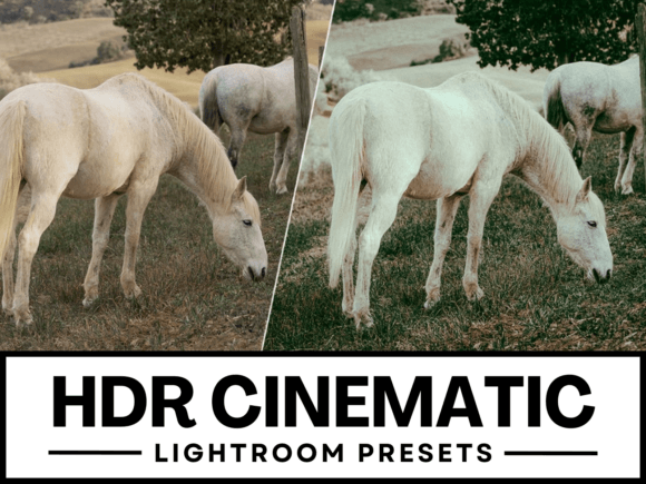 Download 3 HDR Cinematic Lightroom Presets - Premium Resources